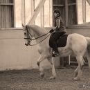Ronja - Barockes Reiten mit Richard Hinrichs