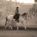 Ronja - Barockes Reiten mit Richard Hinrichs