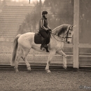 Ronja - Barockes Reiten mit Richard Hinrichs