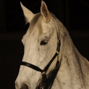 Ronja
