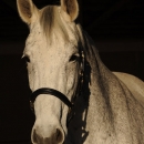 Ronja