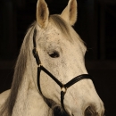 Ronja