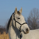c2011-01-01-0280