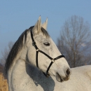 c2011-01-01-0297