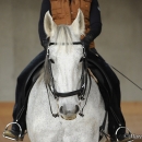 Barockes Reiten mit Richard Hinrichs