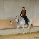 Barockes Reiten mit Richard Hinrichs