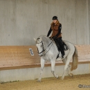 Barockes Reiten mit Richard Hinrichs