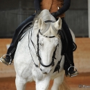 Barockes Reiten mit Richard Hinrichs
