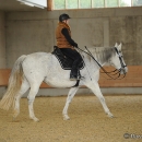 Barockes Reiten mit Richard Hinrichs