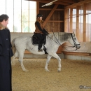 Barockes Reiten mit Richard Hinrichs