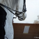 Barockes Reiten mit Richard Hinrichs