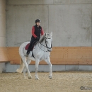 Barockes Reiten mit Richard Hinrichs