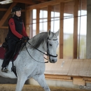 Barockes Reiten mit Richard Hinrichs