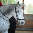 Barockes Reiten mit Richard Hinrichs