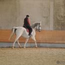 Barockes Reiten mit Richard Hinrichs