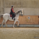 Barockes Reiten mit Richard Hinrichs