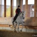 Barockes Reiten mit Richard Hinrichs