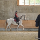 Barockes Reiten mit Richard Hinrichs