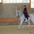 Barockes Reiten mit Richard Hinrichs