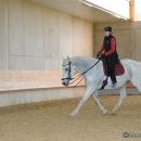 Barockes Reiten mit Richard Hinrichs