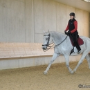 Barockes Reiten mit Richard Hinrichs