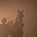 Nebelfotoshooting 2011