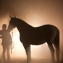 Nebelfotoshooting 2011