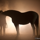 Nebelfotoshooting 2011
