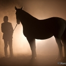 Nebelfotoshooting 2011