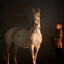 Nebelfotoshooting 2011