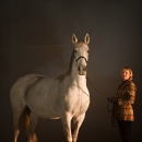 Nebelfotoshooting 2011