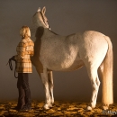 Nebelfotoshooting 2011