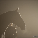 Nebelfotoshooting 2011