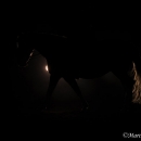 Nebelfotoshooting 2012 Tag 1