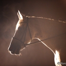 Nebelfotoshooting 2012 Tag 1