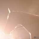 Nebelfotoshooting 2012 Tag 1