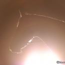 Nebelfotoshooting 2012 Tag 1