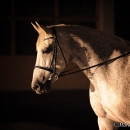 Nebelfotoshooting 2012 Tag 1