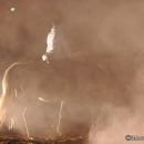 Nebelfotoshooting 2012 Tag 1