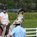 Reitkurs mit Desmond O’Brien - 2012