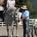 Reitkurs mit Desmond O’Brien - 2012