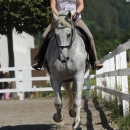 Reitkurs mit Desmond O’Brien - 2012