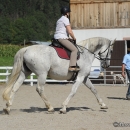 Reitkurs mit Desmond O’Brien - 2012