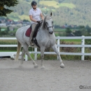 Reitkurs mit Desmond O’Brien - 2012