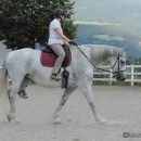 Reitkurs mit Desmond O’Brien - 2012