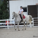 Reitkurs mit Desmond O’Brien - 2012