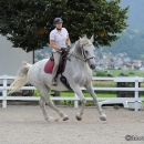 Reitkurs mit Desmond O’Brien - 2012