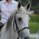 Reitkurs mit Desmond O’Brien - 2012