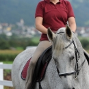 Reitkurs mit Desmond O’Brien - 2012