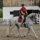 Reitkurs mit Desmond O’Brien - 2012